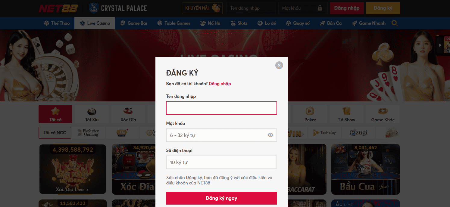 NET88 - Thế Giới Cá Cược Giải Trí Hấp Dẫn Nhất Hiện Nay 3 Hướng dẫn người chơi tham gia NET88